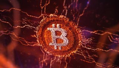 中本聪的真实身份及其比特币持有数量